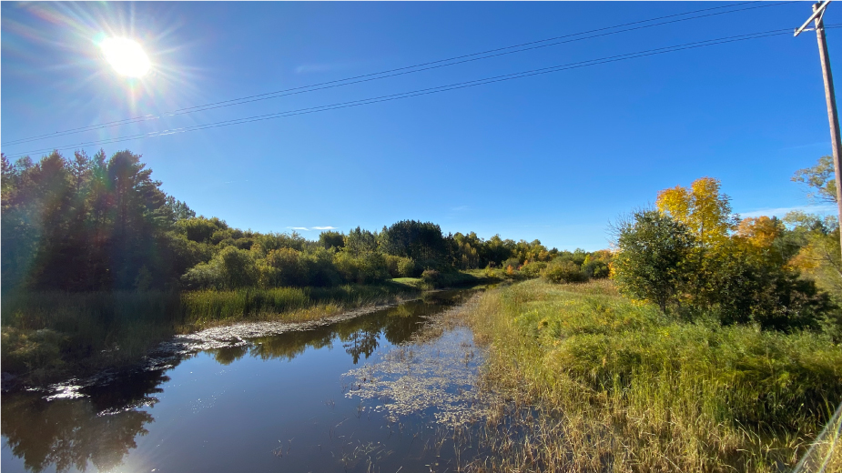 Body of Water in Lake of the Woods County